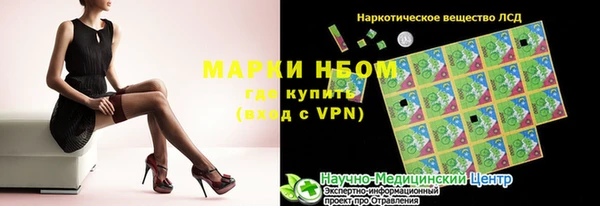 a pvp Бородино