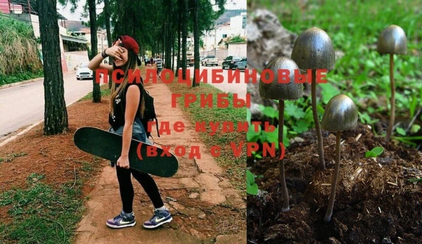 синтетический гашиш Бугульма