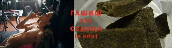 a pvp Бородино