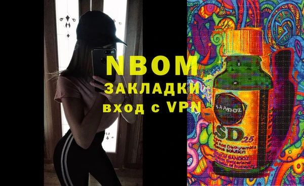 a pvp Бородино