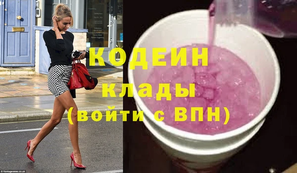 a pvp Бородино