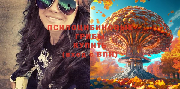 a pvp Бородино